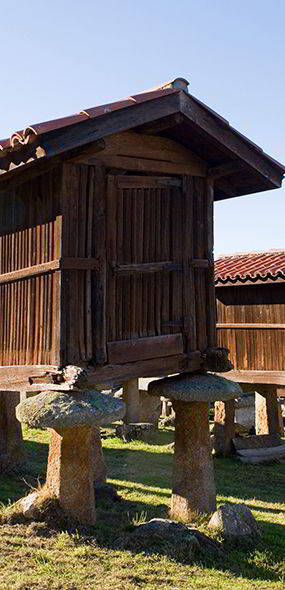 Complessi di Hórreos (granai in legno o pietra su pilastri) - A Merca